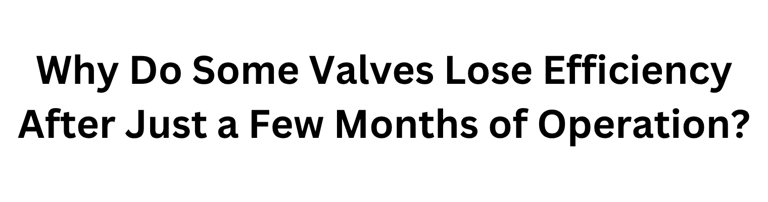 Why Do Some Valves Lose Efficiency After Just a Few Months of Operation?