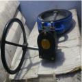 SKS116EG CI Wafer Type Butterfly Valve (PN 16) Gear Operated