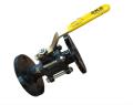 SKS220 CS/SS Ball Valve