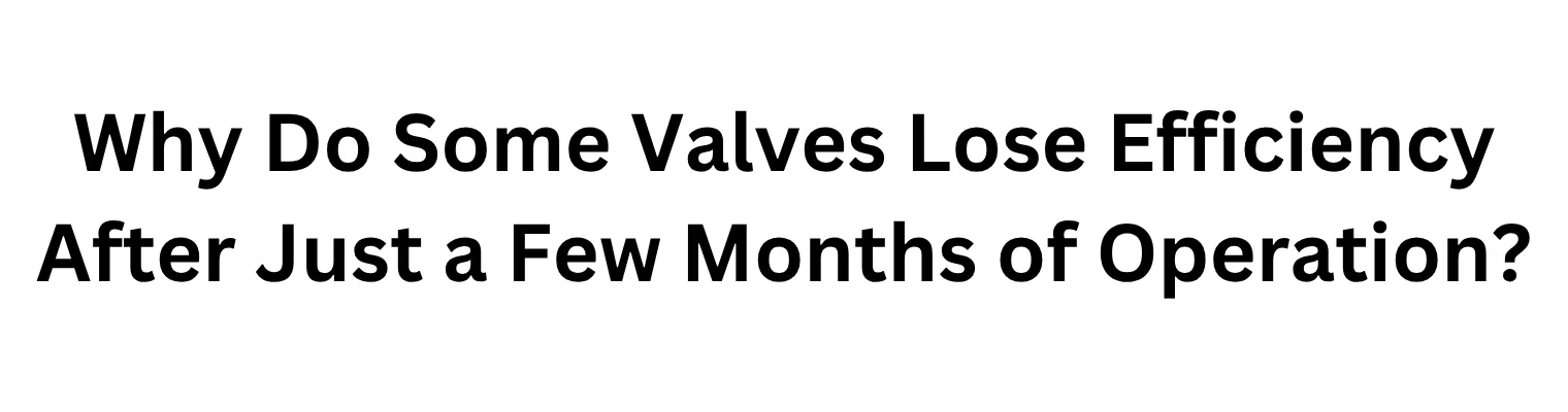 Why Do Some Valves Lose Efficiency After Just a Few Months of Operation?