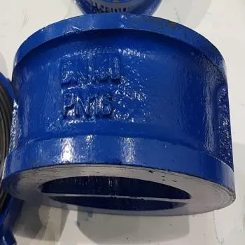 SKS310D CI Dual Plate Wafer Check Valve (NRV) (PN 16) SKS310D CI Dual Plate Wafer Check Valve (NRV) (PN 16)