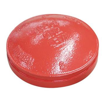 SKS - GF 300 End Cap (Grooved)