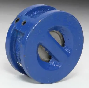 SKS320S4D DI Dual Plate Wafer Check Valve (NRV) SS 304 Disc (PN 20)